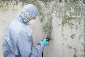  Avenel, NJ Mold Prevention & Removal Pros